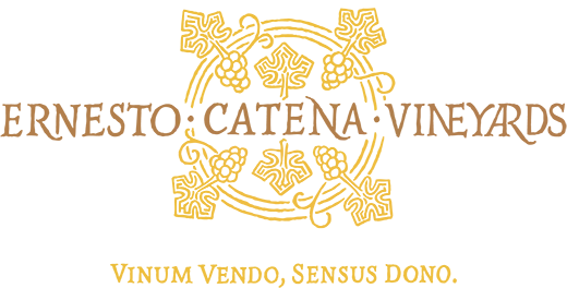 ERNESTO CATENA